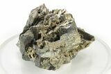 Sharp, Lustrous Arsenopyrite Crystals - Portugal #239767-2